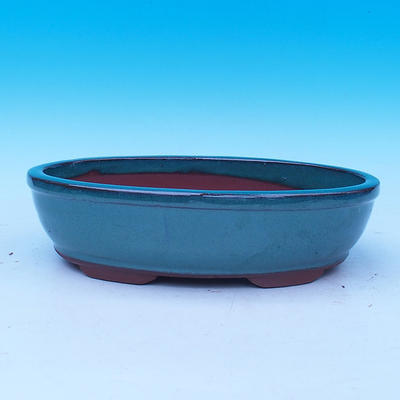 Bonsai bowl 31 x 21 x 8 cm - 1