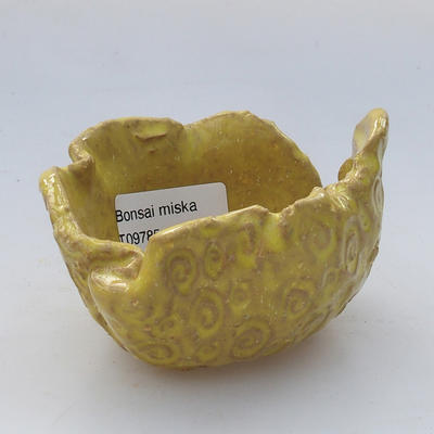 ceramic shell - 1