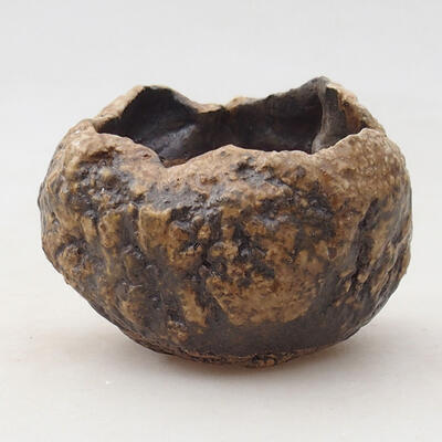 Ceramic shell 6 x 6 x 6 cm, brown color - 1