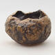 Ceramic shell 6 x 6 x 6 cm, brown color - 1/3
