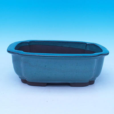 Bonsai bowl 24.5 x 17 x 7 cm - 1