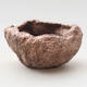 Ceramic shell 7 x 6 x 5.5 cm, color brown-pink - 1/3