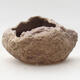Ceramic Shell 5.5 x 4.5 x 5.5 cm, brown-pink color - 1/3
