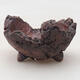 Ceramic shell 7.5 x 8 x 5 cm, color gray brown - 1/3