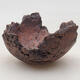 Ceramic Shell 8 x 7.5 x 5 cm, gray-brown - 1/3