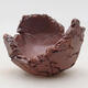 Ceramic shell 7.5 x 7.5 x 6.5 cm, gray-brown - 1/3
