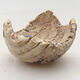Ceramic shell 7 x 7 x 5.5 cm, gray-brown - 1/3