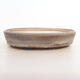 Bonsai bowl 24 x 19 x 5.5 cm, gray color - 1/5