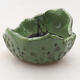 Ceramic shell 7.5 x 7 x 6 cm, color green - 1/3