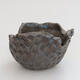 Ceramic shell 10 x 8 x 6 cm, color blue - 1/3