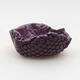 Ceramic shell 7.5 x 8 x 4 cm, color purple - 1/3