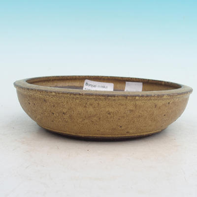 Ceramic bowl bonsai - 1