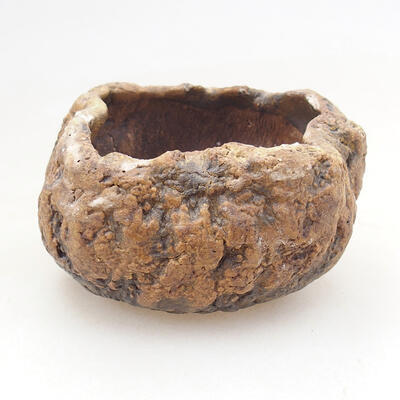 Ceramic shell 6.5 x 5.5 x 5 cm, brown color - 1