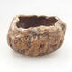 Ceramic shell 6.5 x 5.5 x 5 cm, brown color - 1/3