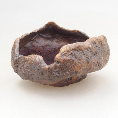 Ceramic shell 7 x 6 x 5 cm, color brown - 1