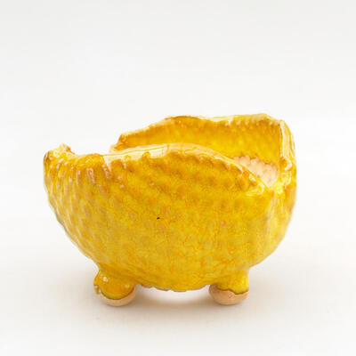 Ceramic shell 8 x 7.5 x 6 cm, color yellow - 1