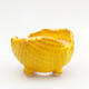 Ceramic shell 8 x 7.5 x 6 cm, color yellow - 1/2