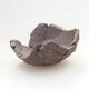 Ceramic shell 8.5 x 8 x 5 cm, gray color - 1/3