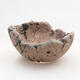 Ceramic shell 4 x 4 x 2.5 cm, gray color - 1/3