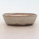 Bonsai bowl 20 x 14 x 6 cm, color gray - 1/5