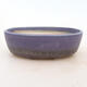 Bonsai bowl 20 x 15.5 x 6 cm, color purple - 1/5