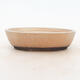 Bonsai bowl 18 x 13 x 5 cm, beige color - 1/5