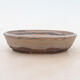 Bonsai bowl 18 x 13 x 4 cm, gray-beige color - 1/5