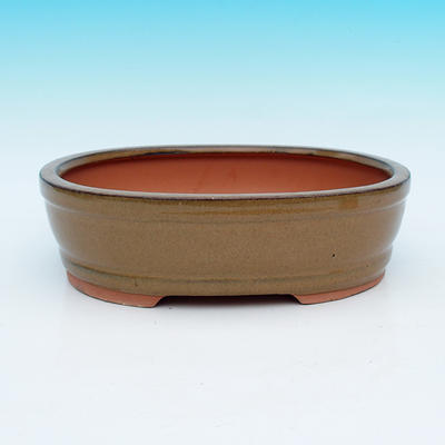 Bonsai bowl - 1