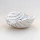 Ceramic shell 7 x 7 x 4 cm, white color - 1/3