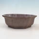 Bonsai bowl 23 x 23 x 7.5 cm, natural color - 1/6