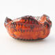 Ceramic shell 7.5 x 7 x 4 cm, color orange - 1/3