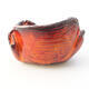 Ceramic shell 7 x 7 x 5 cm, color orange - 1/3
