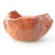 Ceramic shell 7.5 x 7.5 x 5 cm, color orange - 1/3