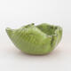Ceramic shell 8 x 7.5 x 5 cm, color green - 1/3