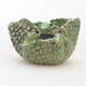 Ceramic shell 7.5 x 6.5 x 5.5 cm, color green - 1/3