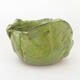 Ceramic shell 7 x 7 x 7 cm, color green - 1/3