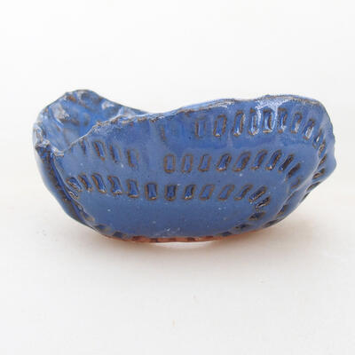 Ceramic shell 7 x 7 x 4 cm, color blue - 1