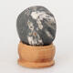 Suiseki - Stone with DAI (wooden pad) - 1/5