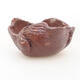 Ceramic shell 8 x 7.5 x 5 cm, brown color - 1/3