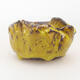 Ceramic shell 8 x 6 x 4.5 cm, yellow color - 1/3