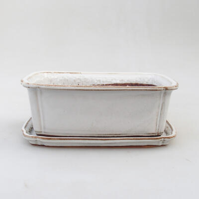 Bonsai bowl + saucer H 50 - bowl 16.5 x 12 x 6 cm, saucer 17 x 12.5 x 1.5 cm, white Oxide - 1