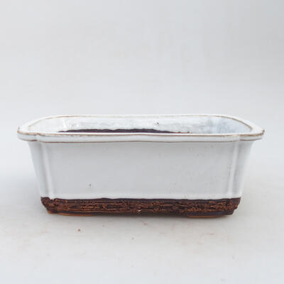 Bonsai bowl H 50 - 16.5 x 12 x 6 cm, white scratched - 1