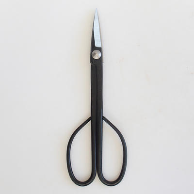 210 mm long scissors - carbon - 1