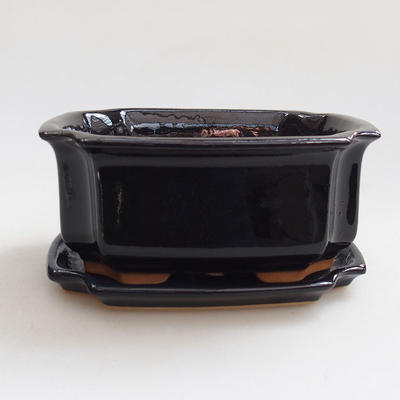 Bonsai bowl + tray H01 - tray 12 x 9 x 5 cm, tray 11,5 x 8,5 x 1 cm, black glossy