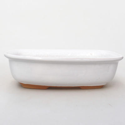 Ceramic bonsai bowl H 08 - 24,5 x 18 x 7 cm, white - 1