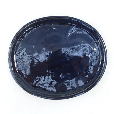 Bonsai tray H 30 - 12 x 10 x 1 cm, black glossy  - 12 x 10 x 1 cm - 1