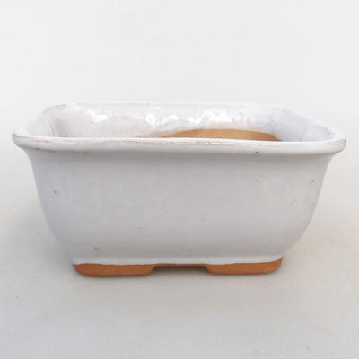 Ceramic bonsai bowl H 38 - 12 x 10 x 5.5 cm, white - 1