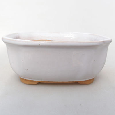 Ceramic bonsai bowl H 31 - 14,5 x 12,5 x 6 cm, white - 1