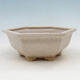 Ceramic bonsai bowl H 53 - 20 x 18 x 7.5 cm, beige - 1/3