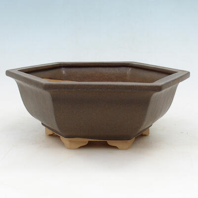 Ceramic bonsai bowl H 53 - 20 x 18 x 7.5 cm - 1